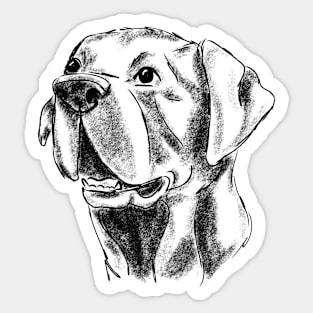 Black Lab, sketch Sticker